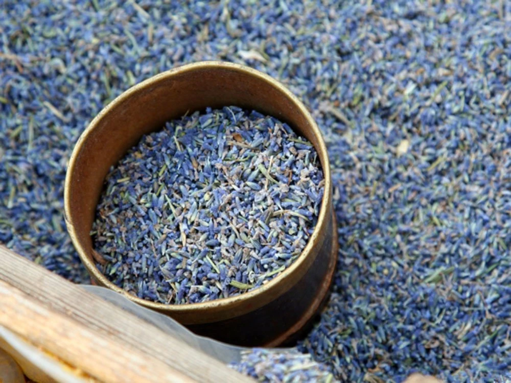 5-days-in-provence-by-bicycle